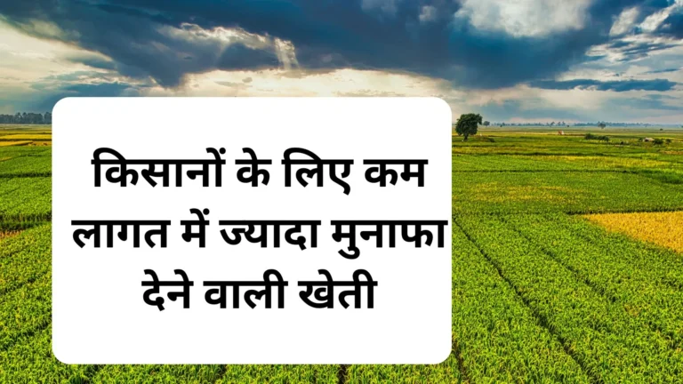 2025 में किसानों के लिए कम लागत में ज्यादा मुनाफा देने वाली खेती के तरीके